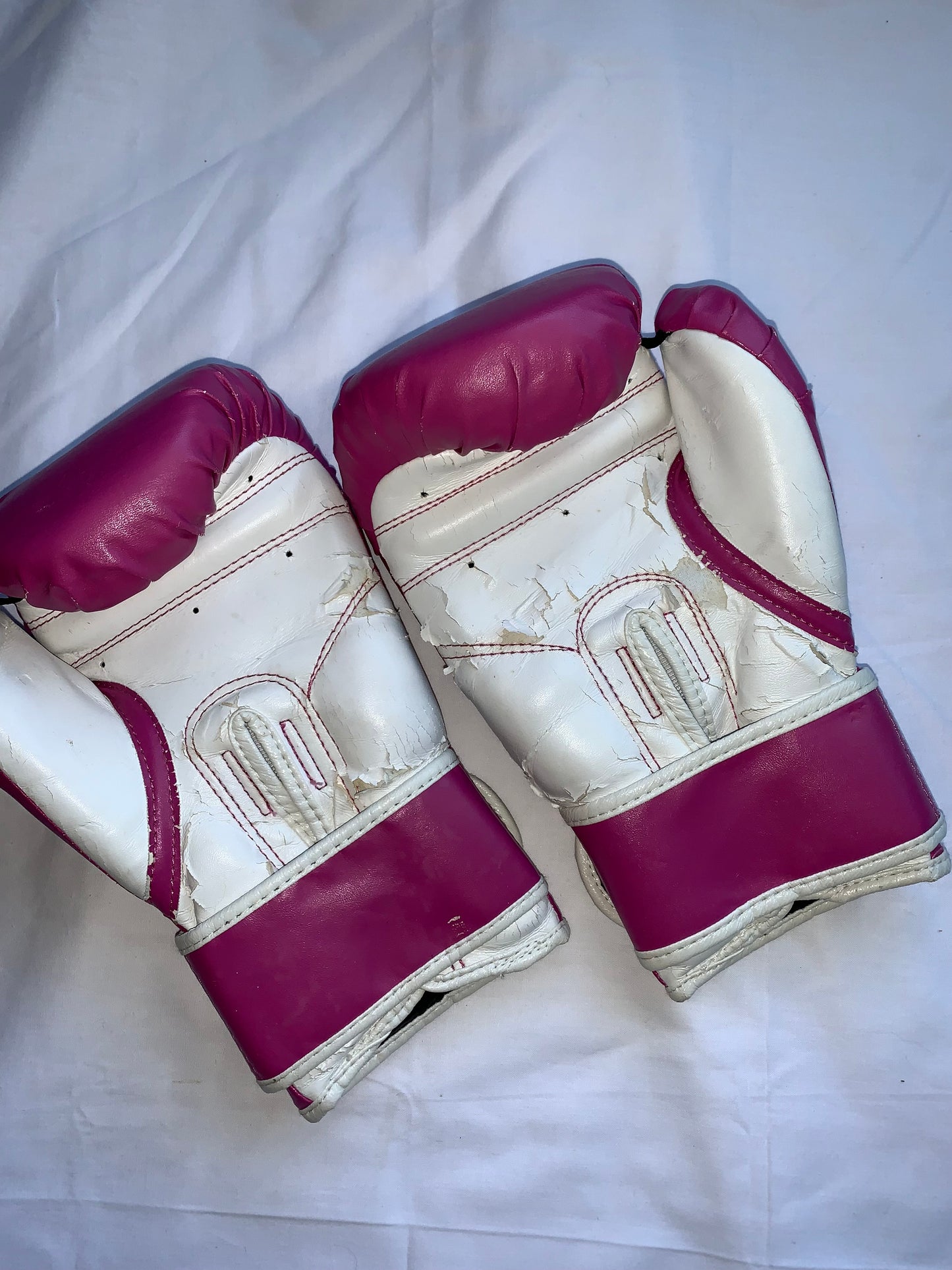 Bunny boxing gloves